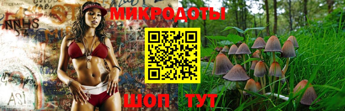 Псилоцибиновые грибы Psilocybine cubensis Артёмовский