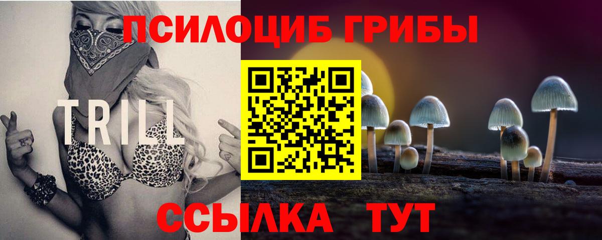 Артёмовский  купить наркотики сайты  Вход с VPN  Псилоцибиновые грибы ЛСД 